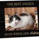 Pet Memorial 4x6 Picture Frame, Dog Cat Bereavement Remembrance Gifts, Sympathy Gifts for Loss of Pet Dog Cat, the Best Angels Have Wings and Whiskers Picture Photo Frames for Desk Decor