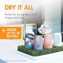 Boon Lawn Countertop Baby Bottle Drying Rack with Antimicrobial Tray - Baby Bottle Rack and Organizer - Baby Feeding Essentials - Sage - 13.5 x 11 x 2.5
