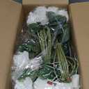 50 Pcs White Roses Artificial Flowers, Real Touch Velvet Roses Bouquet Fake Flowers Bulk, Artificial Roses with Long Stems for Birthday Gift Women Mom DIY Bridal Wedding Centerpiece Decorations