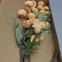 Floroom 5pcs Apricot Peach Faux Silk Mums Artificial Flowers, Bulk Fake Small Mini Chrysanthemums with Stems for DIY Wedding Centerpieces Floral Arrangements Vase Fillers Home Decorations
