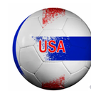 Baden USA Stripe Soccer Ball