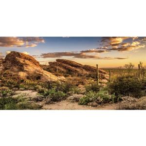 AWERT Reptile Habitat Background Blue Sky Oasis Cactus Sun and Desert Terrarium Background 48x24 inches Durable Polyester Background
