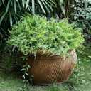 Set of 2 Large Potted Plants Artificial Ferns for Outdoor - Already Assembly Faux Ferns in Pots UV Resistant Realistic Fake Greenery Potted for Outdoor Home Office Patios Porches Yards Decor