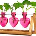 XXXFLOWER Plant Terrarium Propagation Stations Unique Gifts for Women Wife Mom Plant Lovers 3 Heart Shaped Vases for Hydroponics Home Garden Office Decor(Plants NOT Included)