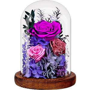 Preserved Eternal Roses in Glass Dome - Purple Forever Rose Bouquet Gift for Women, Mothers, Valentine's Day, Anniversary, Birthday - Real Long-Lasting Flowers with Prime Delivery