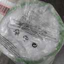 RESTCLOUD Insect and Butterfly Habitat Cage Terrarium Pop-up 23.6 Inches Tall (White With Green)