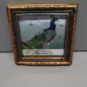 SIKOO 4x4 Vintage picture frames Antique Small Bronze Gold Picture frames Ornate Home Decor Antique Wall Decor Gallary Wall Mount and Tabletop Display