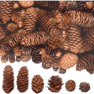 120PCS Natural Pine Cones for Christmas Decor - Mini Pinecones for Crafts, Tree Ornaments, Wreath, Wedding, Vase Fillers, Garland & Holiday Centerpieces (Fall/Winter/Xmas)