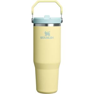 Stanley IceFlow 2.0 Flip Straw Tumbler with Handle 30 oz | Twist On Lid and Flip Up Straw | Leak Resistant Water Bottle | Insulated Stainless Steel | BPA-Free | Pomelo