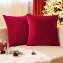EMEMA Pack of 2 Velvet Christmas Throw Pillow Covers Decorative Square Pillowcase Soft Solid Cushion Case for Sofa Bedroom Chair Car 20x20 Inch Red