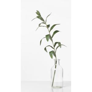 Artificial Green Stem in Glass Bottle, Realistic Green Foilage, Minimalist Tabletop Decor