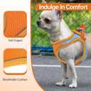Premium Chihuahua Harness and Leash Set - Ultra-Comfy & Secure Dog Harness for Chihuahua
