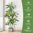 Dracaena Plant Artificial Tree 5Ft Tall Fake Tropical Floor Plants Potted (Real Touch) Artificial Silk Tree Leaf Faux Trees Black Tall Planter for Home Office Living Room Indoor Outdoor Decor