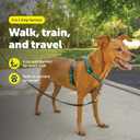 PetSafe 3 in 1 No-Pull Dog Harness for Small Dogs- Walk, Train or Travel - Helps Pets from Pulling on Walks - Seatbelt Loop Doubles as Quick Access Handle - Reflective- Extra Small, Teal