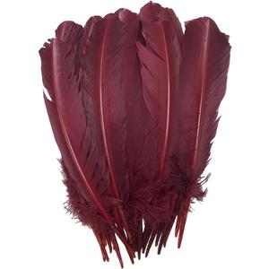 24Pcs Burgundy Turkey Feathers 10~12 inch,Beautiful Long Feather for Crafts,Bulk Big Size Bilateral Natural Feather,for Wedding Dress and Party Decoration,DIY Fabricating Handicraft Article (Burgundy)
