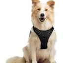 rabbitgoo Dog Harness No Pull with 2 Leash Clips, Adjustable Soft Padded, Reflective Oxford No Choke Pet Vest with Easy Control Handle for Medium Sized Dogs, Black, M