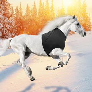 Hilltown Short Horse Shoulder Guard with Stretch Fabric - Slim Fit, Anti-Rub Bib, Comfort, UV Block, Sweat-Wicking and Quick-Dry for Riding, Training & Everyday Use (Black, Full)