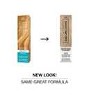 COLORCHARM Demi Permanent Hair Color - Gloss, Refresh & Tone - 2 Fl Oz