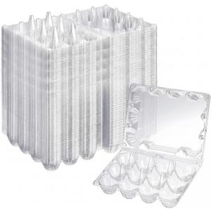 Zubebe 250 Pcs Plastic Egg Cartons Clear Egg Cartons Bulk Blank Tray for Chicken Farm Business Market Home Refrigerator Storage