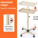 Salon Tray on Wheels, Champagne Gold Salon Tray Cart with Adjustable Height, Hair Stylist Tray, Metal Tattoo Tray, Suitable for SPA and Dental Tray