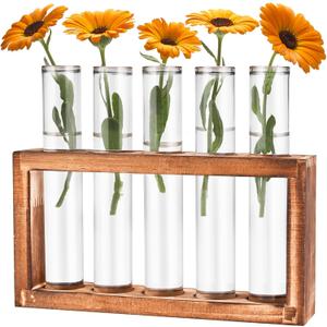 Desktop Glass Plant Propagation Station with 5 Test Tubes in Wooden Stand - Hydroponic Plants Cutting Office Home Decoration and Garden Decor Terrarium (5 Tubes)