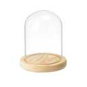 PATIKIL 4.7"x3.5" Clear Cloche Glass Dome, Glass Bell Jar Display Case Tabletop Centerpiece with Wooden Base for Plants Home Decor