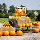 3 Pcs Pumpkins for Sale Yard Sign with Stakes, 12 x 16 Inches Double Sided Print Outdoor Fall Pumpkin Patch Garde Yard Sign for Outdoor Indoor Fall Halloween Thanksgiving