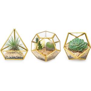 Mkono 4 Inches Mini Glass Geometric Terrarium Container Set of 3 Modern Tabletop Planter Shelves Decor Display Centerpiece for Succulent Miniature Fairy Garden Air Plant, Gold (Plant Not Included)
