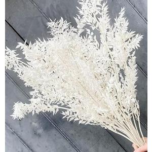 15 Pieces Dried White Italian Ruscus Eucalyptus - Real Preserved Ruscus Stem Branches, Real White Dried Floral Plant Pampas Green Leaves Bundle for Boho Wedding Party, Home Decor, Vase Filler