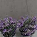CADNLY Artificial Lavender Plant in Pots - Faux Lavender Flowers Decor  Fake Flowers Purple Decor Plant Potted Bathroom Bedroom Kitchen Farmhouse Home 2 Pack
