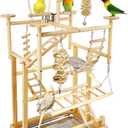 Bird Playground - Natural Wood Parrot Playstand with Perches, Bird Play Gym & Accessories, Removable Tray & 4 Stainless Steel Cups