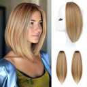REECHO Clip in Hair Volumizer, 2PCS 12 inch Short Thick Clip in Hairpieces Adding Extra Volume Hair Extensions for Women (Golden Brown with Highlights)