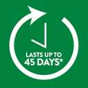 Air Wick Scented Oil Warmer Plugin Air Freshener, White, 6ct (1 Count (Pack of 6))