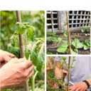 4 Ft Bamboo Stakes for Plant with Twist Ties 60 pcs Bamboo Sticks Plant Support Garden Stakes Poles for Tomatoes Cucumber Grapes Pole Beans Trees Potted Dahlia Flowers