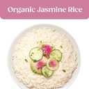 SEEDS OF CHANGE Certified Organic Jasmine Rice, Organic Food, 8.5 oz Pouch (Pack of 12)