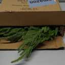 24" Christmas Wreath for Front Door, Realistic Norfolk Pine Wreath with Natural Grapevine and Greenery Cedar Leaves, Holiday Wreaths for Indoor & Outdoor Porch Windows Wall Home Decor