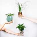 Abbott Collection Stoneware Snail Planter - Small (5" H, 3" Opening)