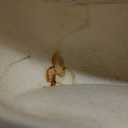 MOUGIGI Palo Santo Holder - Ceramic Incense Burner for Palo Santo Sticks, Cone, and Spiritual Sage - Modern Chiminea for Meditation - Handcrafted Smudge Bowl and Meditation Gift (Glazed Ceramics - Beige)