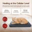 Premium PEMF Therapy Pad for Pets - Natural Pain Relief, Recovery & Stress Support - Vet-Approved - Safe, Drug-Free Wellness for Pets (Small (13 x 17.5 x 0.8 inch)) (White)