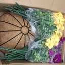 2 Set Artificial Outdoor Flowers with Hanging Baskets,24 Pcs UV Resistant Faux Petunias Flowers with Hanging Planter for Front Door Porch Spring Outside Decor (2, White,Yellow,Purple,RedViolet)