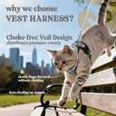 rabbitgoo Cat Harness and Leash for Walking, Escape Proof Soft Adjustable Vest Harnesses for Cats, Easy Control Breathable Reflective Strips Jacket, Grey, S