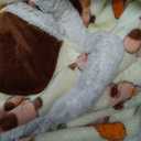 OLAOLA Capybara Wearable Blanket Hoodie for Adults Oversized Animal Hooded Blanket Throw Comfy Sweatshirt Hoodie Women Men Sherpa Fleece with Pockets & Sleeves for Birthday