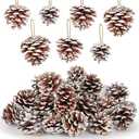 JOHOUSE 16PCS Snow-Dusted Natural Pine Cones with Gold String – 2-2.5in Pinecone for Crafts, Thanksgiving & Christmas Tree, Wreath/Garland DIY, Table/Bowl/Vase Fillers, Fall Winter Home Decor