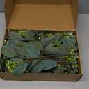 Janinka Mixed Eucalyptus Leaves Stems Bulk with White Seeds Artificial Silver Dollar Leaves Sprays Faux Oval for Wreath Garland Floral Bouquets Arrangement Wedding Greenery Decoration(70)