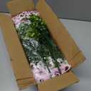 Grunyia Artificial Flowers 16Pcs Realistic Fake Pansy Silk Flowers UV Resistant for Outdoors, Lifelike Faux Pansies for Planters, Window Boxes, Spring Home Decor (White & Pink)