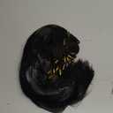 Long Black Bob Wig with Bangs Braided Wig Egyptian Wigs Hair Accessories Headpiece Women