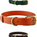 Tuff Pupper Classic Heavy Duty Dog Collar | 10x Stronger Than Leather | 100% Waterproof & Odor Proof Dog Collar | Tough Rust-Proof All Metal Hardware (Burnt Orange)
