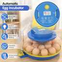Chicken Egg Incubators for Hatching Eggs, 18 Egg Incubator with Automatic Egg Turning, Digital Control, 2 Egg Trays, Candler & Automatic Water Refill for Chicken Quail Duck Turkey Goose Bird