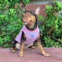 3 x YQYS Dog Shirts Multi-Color Striped Cotton Vest for Small Dogs and Cats Puppy Clothes Teacup Dog Clothing Tank Top for Chihuahua Miniature Pinscher Pink Small