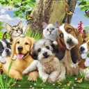 Dawhud Direct | Fleece Throw Blanket By Howard Robinson Puppy And Kitten Pals